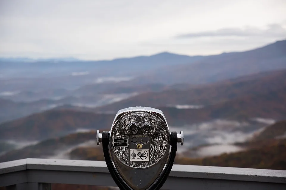 Sui Coin im Fokus: Aktuelle Marktanalysen und Prognosen