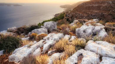 Neue Krypto-ETFs im Oktober: Ein entscheidender Monat für Anleger