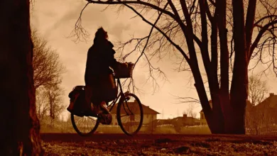 Ethereum kursabstieg: Investoren ziehen 680 Millionen Euro ab