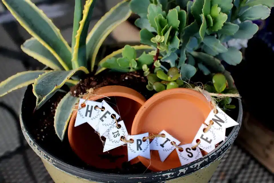 Bitcoin und die Crypto Week: Ein Wendepunkt für die Branche