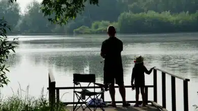 Zinswende der Fed: Startschuss für den Krypto-Bullenlauf