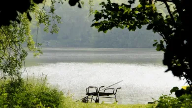 Zinssenkung der Fed: Krypto-Markt reagiert optimistisch