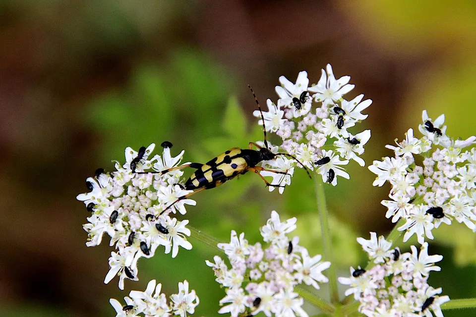 Fed-Politik und XRP: Ein Balanceakt zwischen Zinsen und Kursen