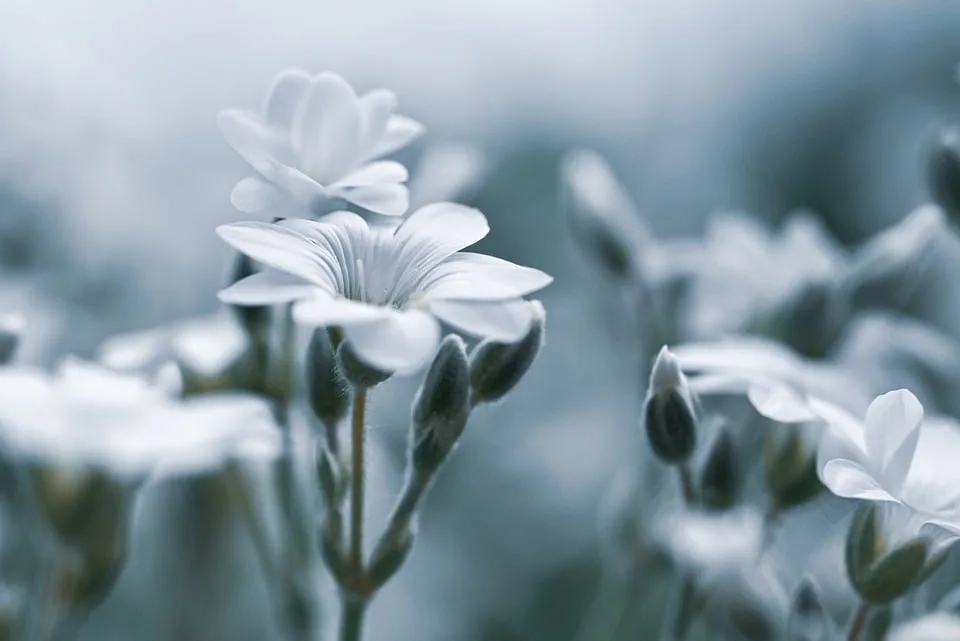 Krypto-Regulierung 2025: SEC plant umfassende Modernisierung