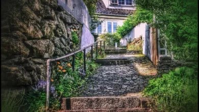 Kryptowährung WLFI: Aufstieg nach holprigem Start geplant