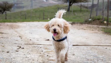 Die besten Krypto-Casinos 2025: Ihr Leitfaden zu Spielen und Boni