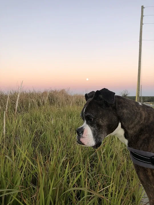 Die besten Crypto Casinos im August 2025 für lokale Spieler