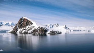 Arctic Pablo Coin: Die letzte Chance auf riesige Gewinne