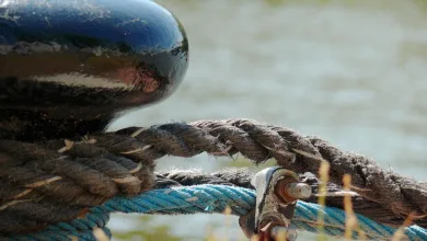 BlackRock kündigt Bitcoin Premium-ETF mit stabilen Renditen an