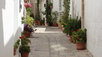 Krypto-ETFs entschlüsselt: Einblicke in Zuflüsse und Abflüsse