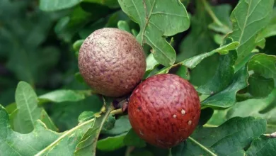 Krypto-Casinos im August: Sicherheit, Geschwindigkeit und Spaß