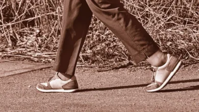 Bitwise bringt Solana ETF-Lancierung einen Schritt näher