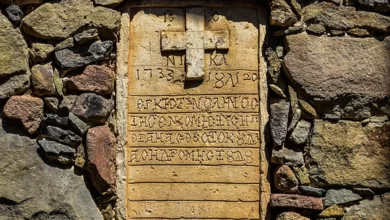 Krypto-Markt im Sturz: Vier Gründe für die Nervosität