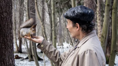 Dogecoin Kursprognose: Hält der 200-Tage-EMA weiterhin?