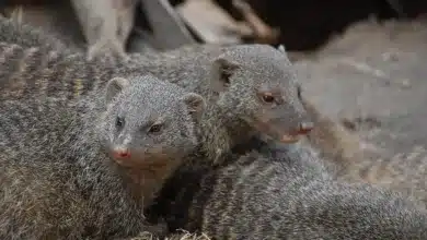 Die besten Crypto Casinos in Deutschland für 2025 entdecken