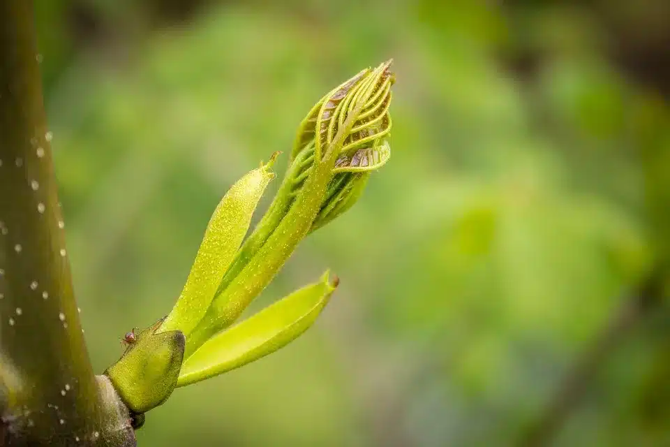 Erster multidimensionaler Krypto-Fonds von Grayscale genehmigt