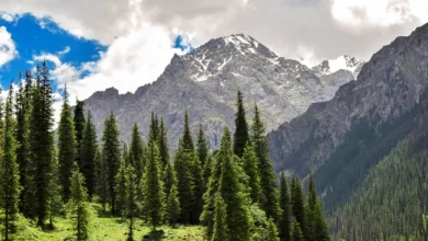 Kasachstan plant nationale Bitcoin-Reserve für digitale Zukunft