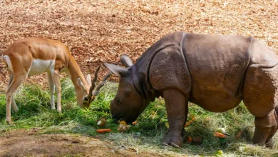 Sicherheitsvorfall bei Crypto.com: Vertrauen schwer erschüttert