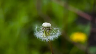 Bitcoin im freien Fall: Trader setzen auf steigende Kurse