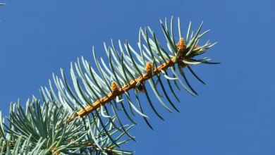 Bitcoin im September: Chancen auf Marktbewegung stehen gut