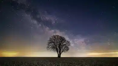 Galaxy Digital investiert massiv in Solana: Ein Trend?