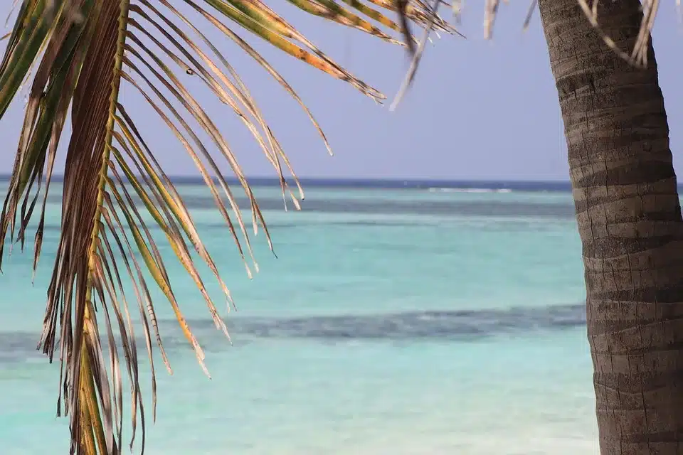 Krypto-Hack bei Swissborg: Sicherheiten und Rückzahlungen in Aussicht