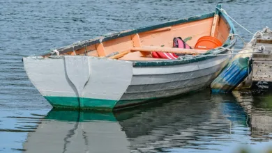 Hyperliquid-Kurs sinkt nach Hayes Token-Verkauf