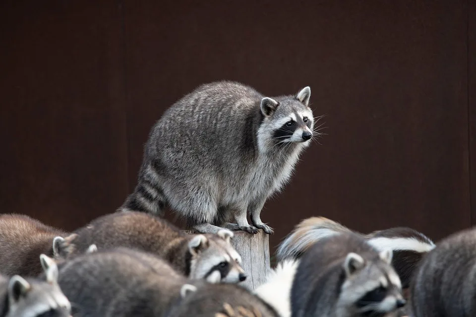 Seazen Group: Blockchain-Tokenisierung für Immobilien in Sicht