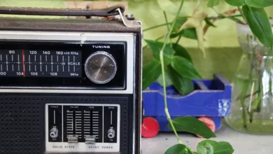 Cardano feiert 8 Jahre stabile Blockchain-Nutzung trotz Inflation