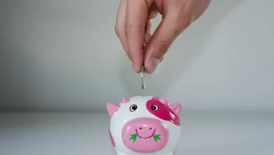 Trump-Clan vervielfacht Vermögen auf 7,3 Milliarden Dollar