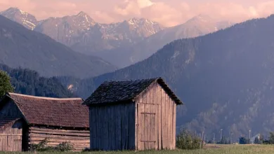 Tether und Keet: Krypto trifft auf private Kommunikation