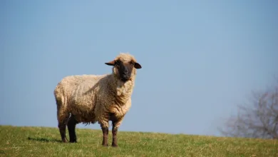 Kryptomarkt in der Septemberkrise: Anleger blicken auf Daten