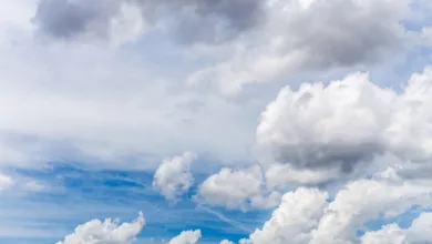 Cloud Mining: Eine sichere Anlagemöglichkeit für Anleger