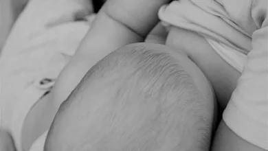 Cardano: Kursprognosen und Unterstützung trotz Korrektur