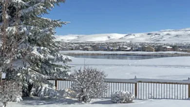 Cardano Kurs unter Druck: Aufbruch oder Absturz bevorstehend