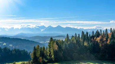 Bitcoin-Kursanalyse: Chancen und Risiken im Oktober 2025