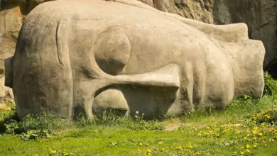 Bitcoin verliert seinen Status als Einstiegswährung für Krypto