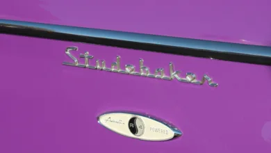 Avantis: Die neue Krypto-Sensation begeistert Anleger lokal