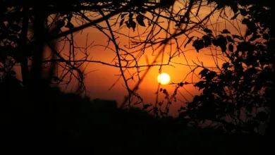 Ethereum-Kurs: Stabilisierung oder drohende Korrektur?