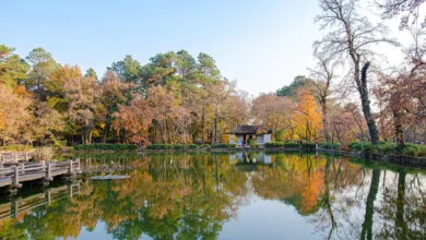 Chinas klare Absage an Kryptowährungen trotz Hongkongs Wandel