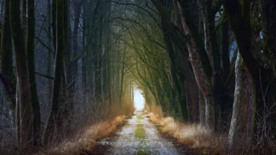 Neue Wege zur Krypto-Vermögensbildung ohne Coin-Kauf