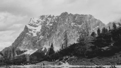 Neue Cloud-Mining-Verträge für sicheres Einkommen in USD