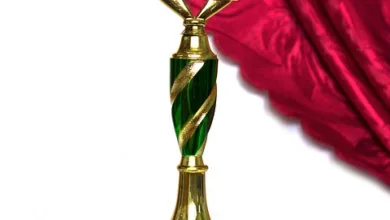 Die besten Meme-Coins 2025: MoonBull & Co. im Fokus