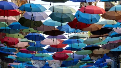 Hester Peirce: Kreative NFT-Kollektion nach SEC-Zeit