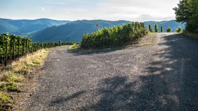 Bitcoin-Kursprognose: Richtungswechsel nach Widerstandstest