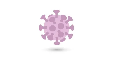 Solana Kursprognose: Steht ein bullischer Ausbruch bevor?