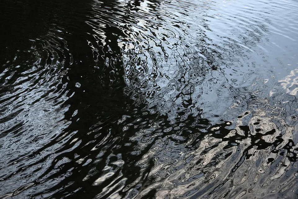 Blockchain im Staatsbudget: Ein Vorstoß zur Transparenz