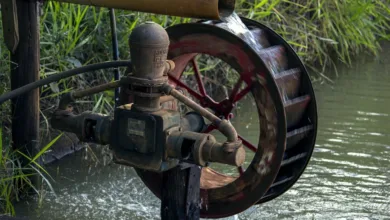 QuidMiner: Nachhaltiges Cloud Mining für sichere Erträge