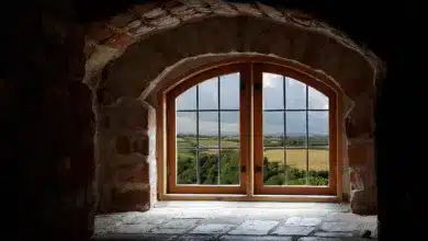 Rezession trotz Liquidität: Ein Blick auf historische Zyklen