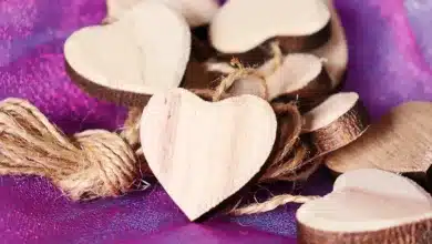 Solana dominiert den Kryptomarkt mit 85 Millionen Tokens